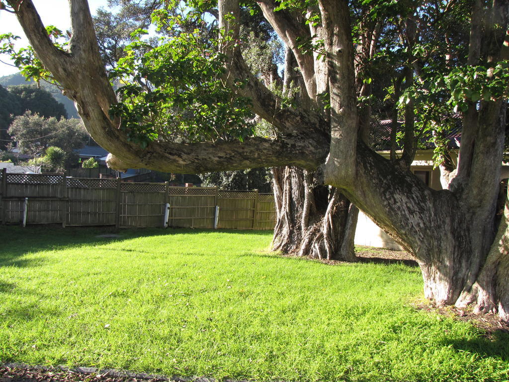 Pembrooke Motor Lodge Whangarei Bagian luar foto
